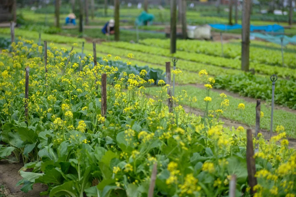Nông sản khách chọn nhiều
